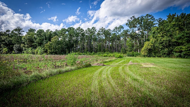 0 Tuten Rd, Round O, SC 29474 - view of grassy yard with a forest view