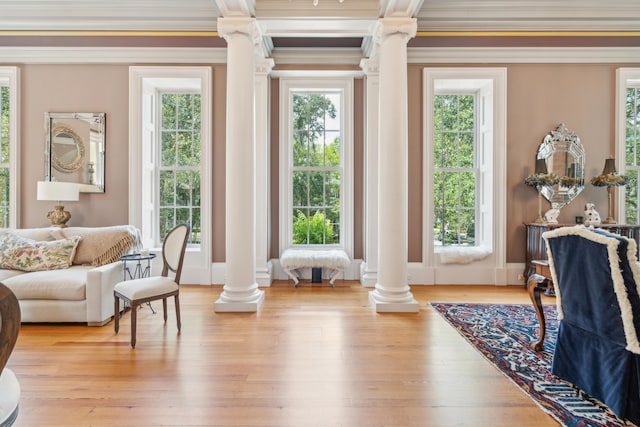 174 N Shelmore Blvd, Mount Pleasant, SC 29464 - living area featuring ornate columns, crown molding, and light wood-style floors