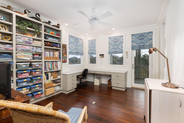 office area with ceiling fan, dark hardwood / wood-style flooring, crown molding, and a wealth of natural light