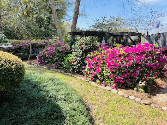 1039 Grand Concourse St, Charleston, SC 29412 - view of yard