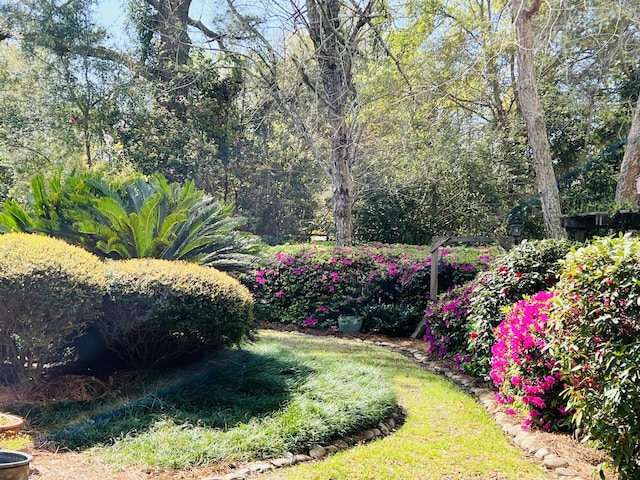 1039 Grand Concourse St, Charleston, SC 29412 - view of yard