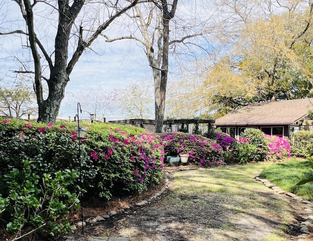1039 Grand Concourse St, Charleston, SC 29412 - view of yard