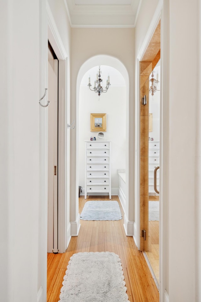 1612 John Fenwick Ln, Johns Island, SC 29455 - hallway with a chandelier, ornamental molding, and light wood-style floors