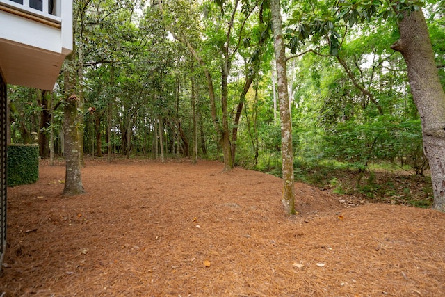 1612 John Fenwick Ln, Johns Island, SC 29455 - view of yard