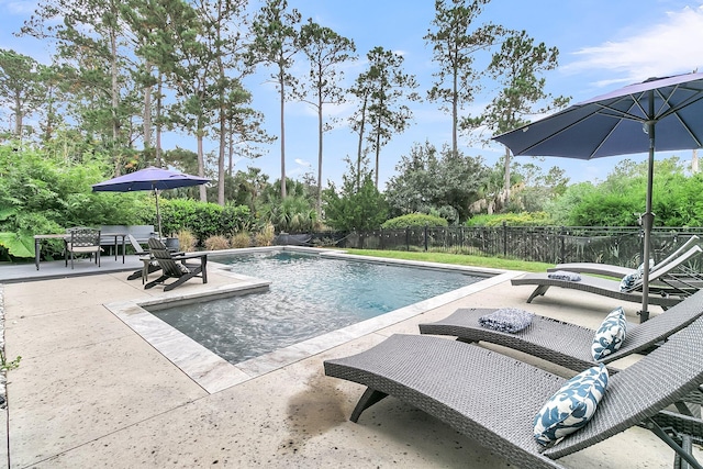 view of swimming pool featuring a patio