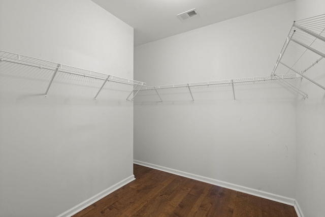 walk in closet featuring dark hardwood / wood-style flooring