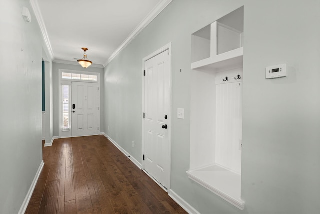 mudroom with dark wood-type flooring and ornamental molding