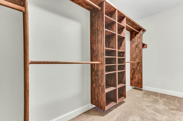 walk in closet with carpet flooring