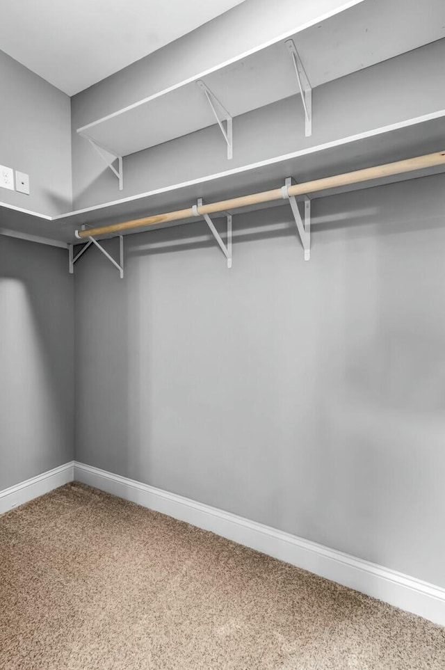 walk in closet featuring carpet