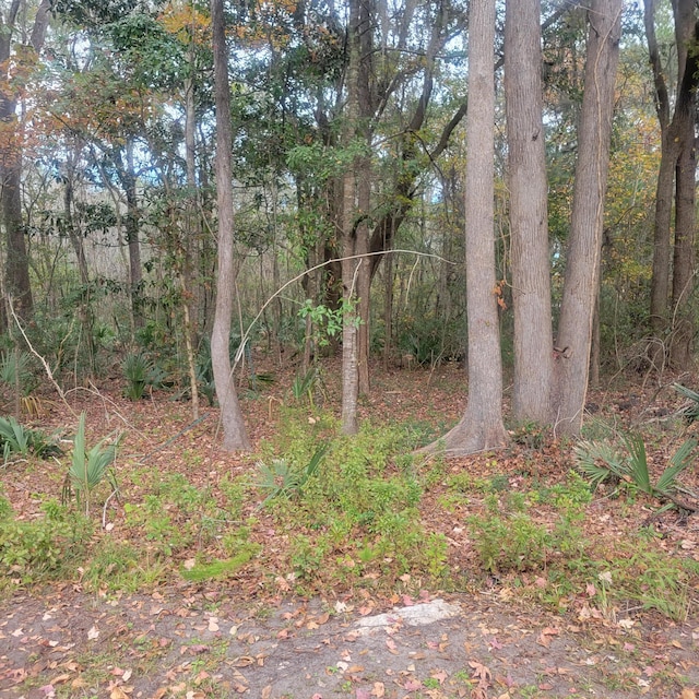 000 Murraywood Rd, Johns Island SC, 29455 land for sale