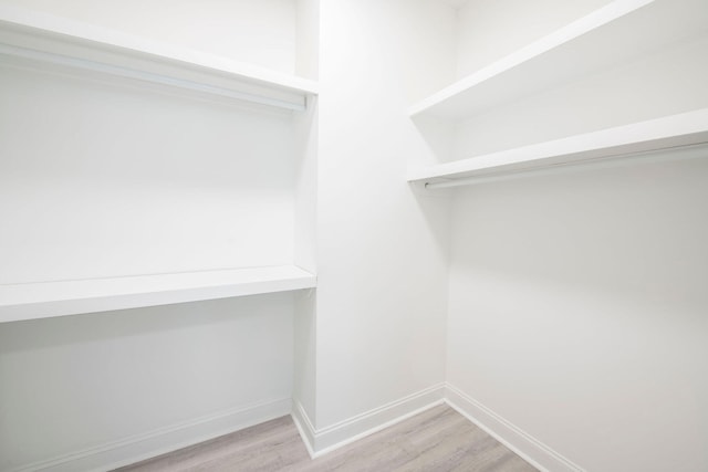 spacious closet featuring light wood-type flooring