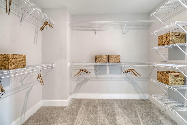 spacious closet with carpet flooring