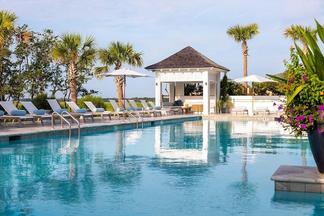 view of pool with a patio area