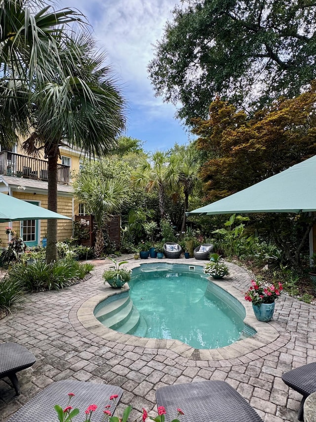 2066 Wappoo Dr, Charleston, SC 29412 - outdoor pool featuring a patio area