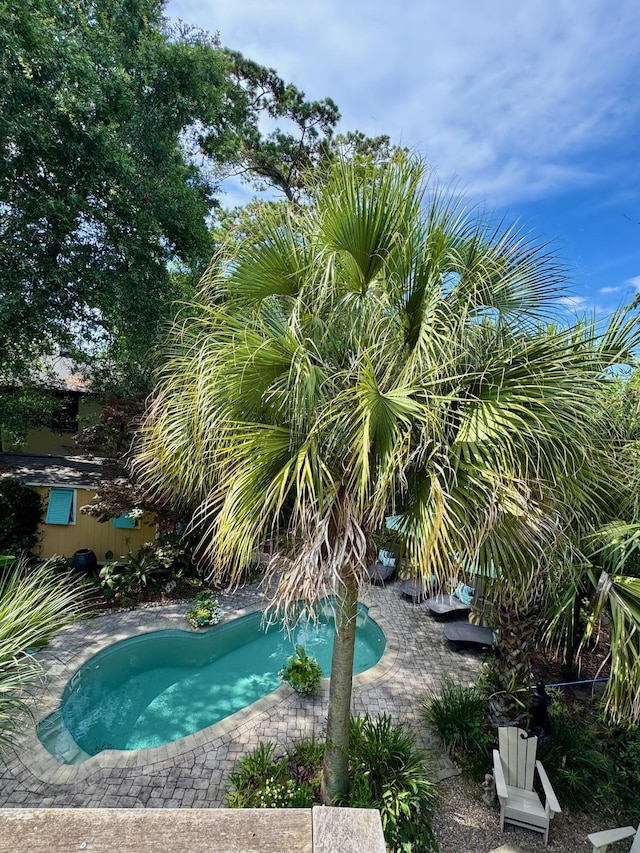 2066 Wappoo Dr, Charleston, SC 29412 - swimming pool with a patio