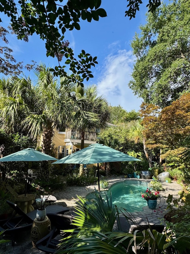 2066 Wappoo Dr, Charleston, SC 29412 - swimming pool featuring a patio