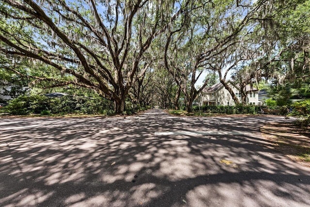 2066 Wappoo Dr, Charleston, SC 29412 - view of road