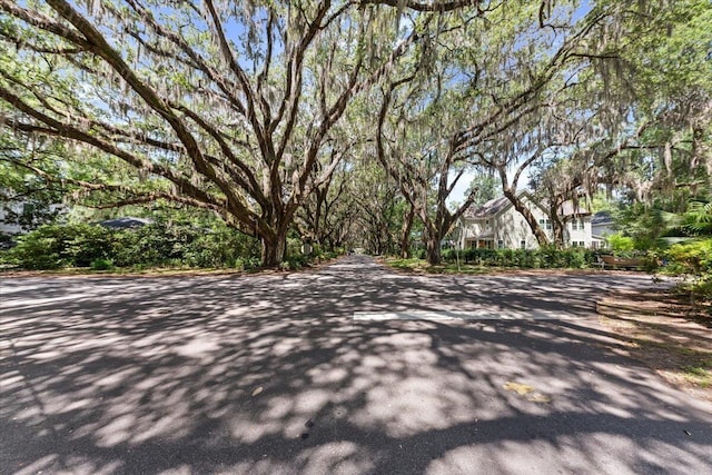 2066 Wappoo Dr, Charleston, SC 29412 - view of asphalt road