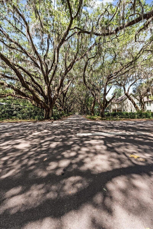 2066 Wappoo Dr, Charleston, SC 29412 - view of asphalt road