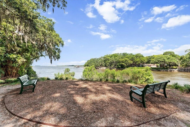 2066 Wappoo Dr, Charleston, SC 29412 - view of property's community with a water view