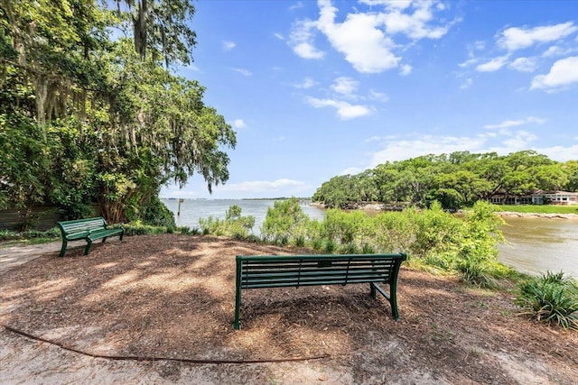 2066 Wappoo Dr, Charleston, SC 29412 - view of community with a water view