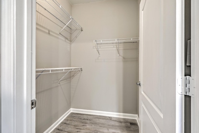 walk in closet featuring hardwood / wood-style floors