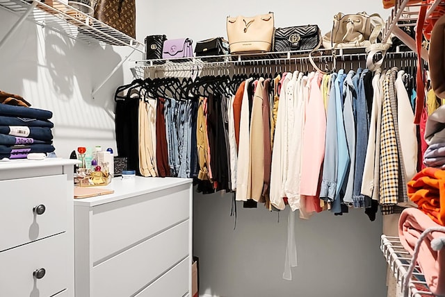513 Donnas View Way, Summerville, SC 29486 - view of walk in closet