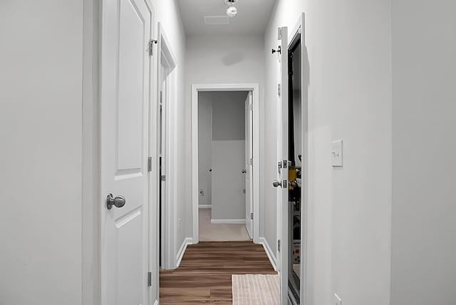 513 Donnas View Way, Summerville, SC 29486 - hallway with wood finished floors and baseboards