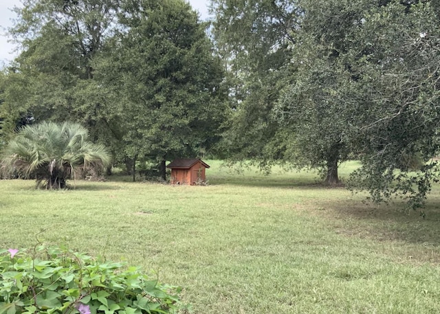 view of yard with an outdoor structure and a storage shed