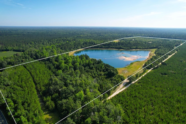 1 Beidler Forest Rd, Dorchester, SC 29437