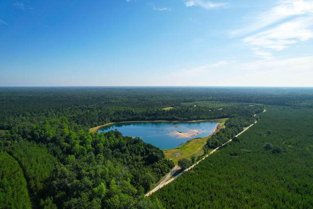 1 Beidler Forest Rd, Dorchester, SC 29437