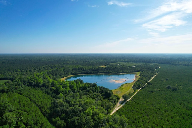 1 Beidler Forest Rd, Dorchester, SC 29437