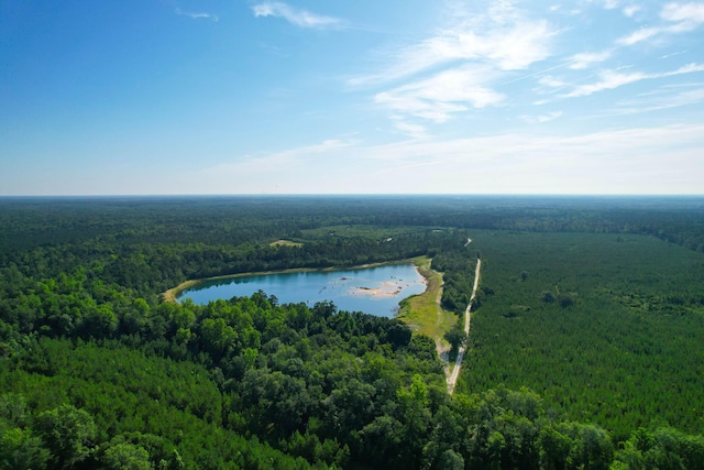 1 Beidler Forest Rd, Dorchester, SC 29437