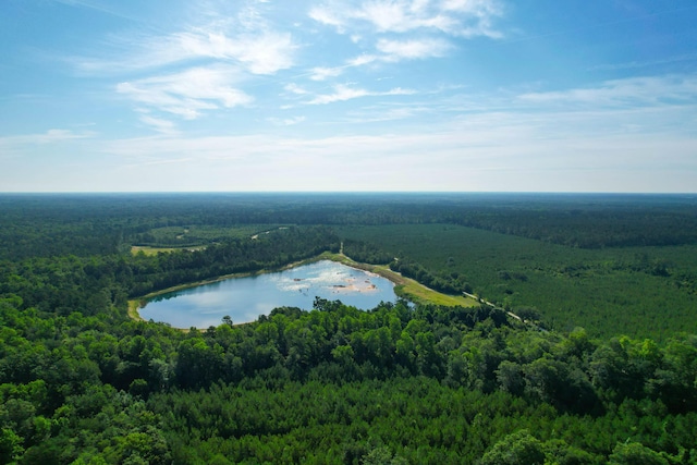 1 Beidler Forest Rd, Dorchester, SC 29437
