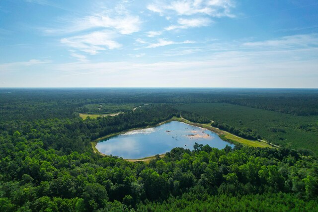 1 Beidler Forest Rd, Dorchester, SC 29437