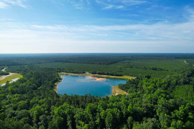 1 Beidler Forest Rd, Dorchester, SC 29437