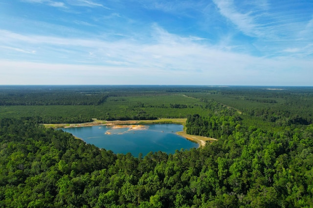 1 Beidler Forest Rd, Dorchester, SC 29437