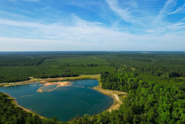 1 Beidler Forest Rd, Dorchester, SC 29437