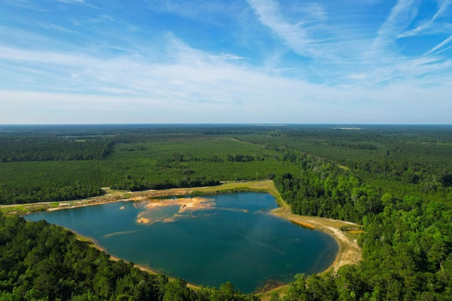 1 Beidler Forest Rd, Dorchester, SC 29437