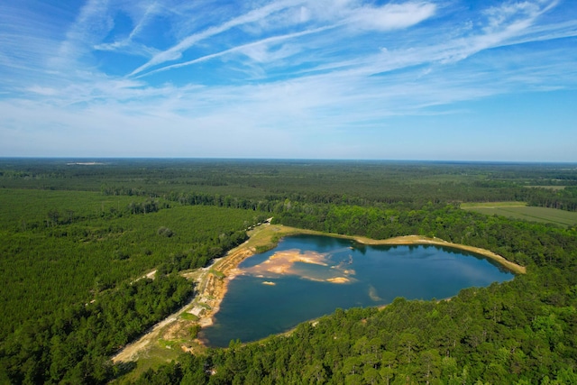 1 Beidler Forest Rd, Dorchester, SC 29437