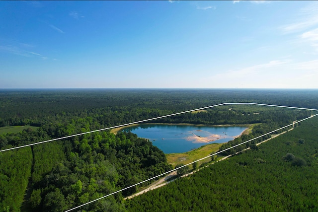 1 Beidler Forest Rd, Dorchester, SC 29437