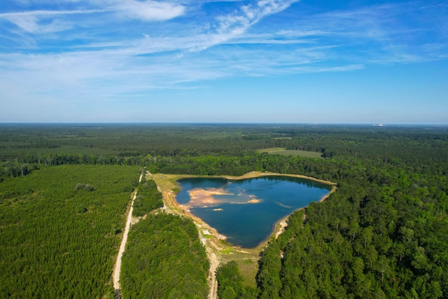 1 Beidler Forest Rd, Dorchester, SC 29437
