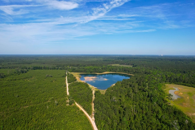1 Beidler Forest Rd, Dorchester, SC 29437