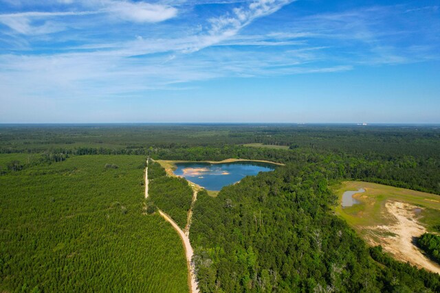 1 Beidler Forest Rd, Dorchester, SC 29437
