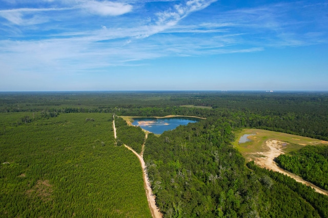 1 Beidler Forest Rd, Dorchester, SC 29437