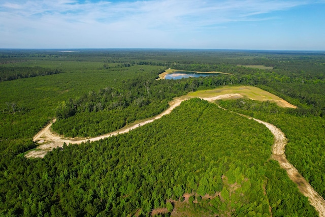 1 Beidler Forest Rd, Dorchester, SC 29437