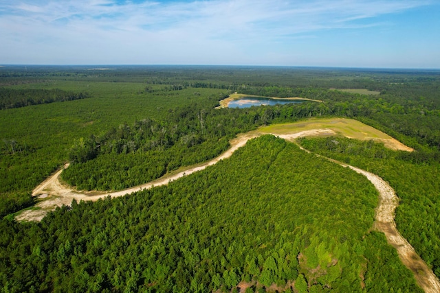 1 Beidler Forest Rd, Dorchester, SC 29437