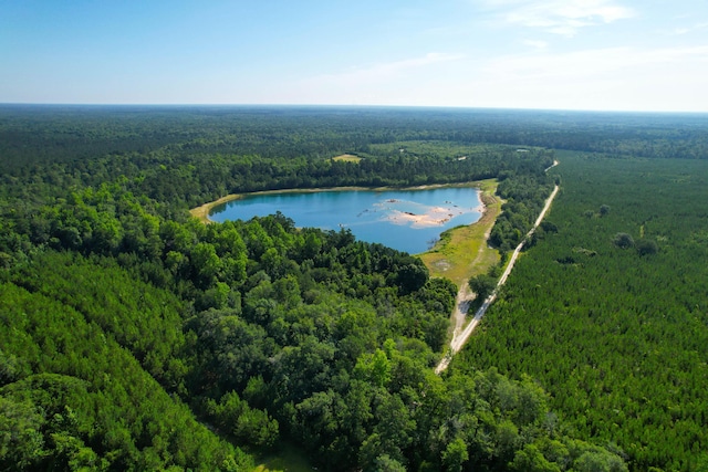 1 Beidler Forest Rd, Dorchester, SC 29437