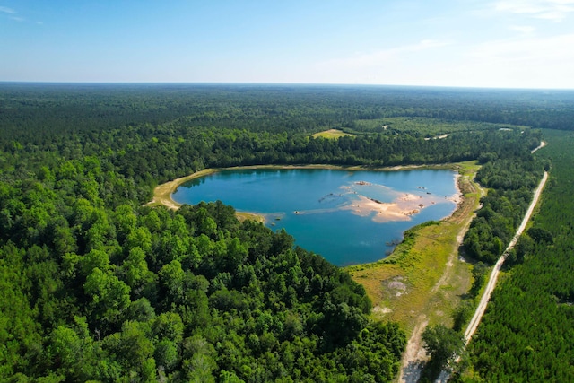 1 Beidler Forest Rd, Dorchester, SC 29437