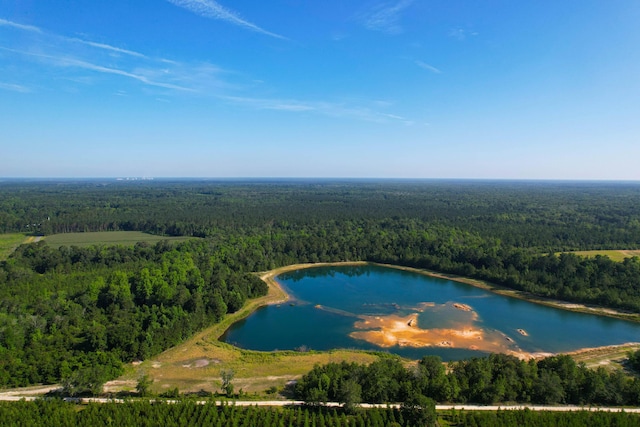 1 Beidler Forest Rd, Dorchester, SC 29437